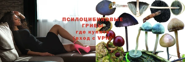 соль ск Алзамай