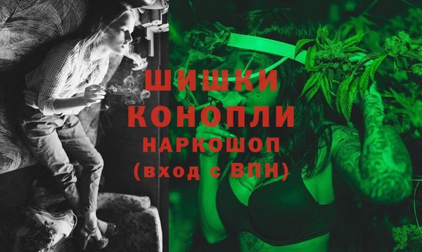 гидра Алексин