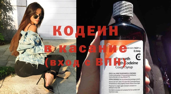 прущие грибы Арсеньев