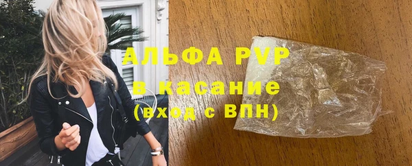 прущие грибы Арсеньев