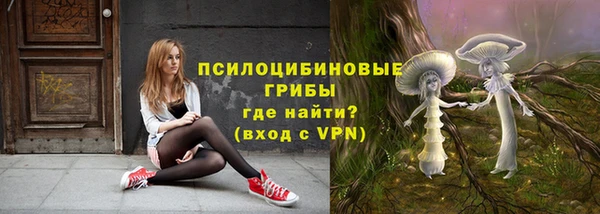 метадон Армянск