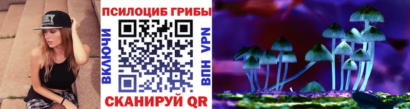 Галлюциногенные грибы ЛСД  где найти   Пустошка 